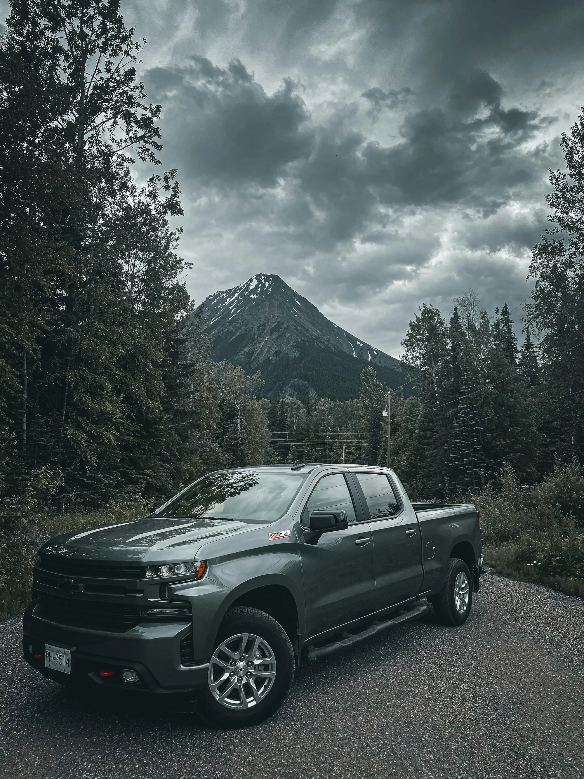 Dark pickup truck parked among pine trees on a mountain road