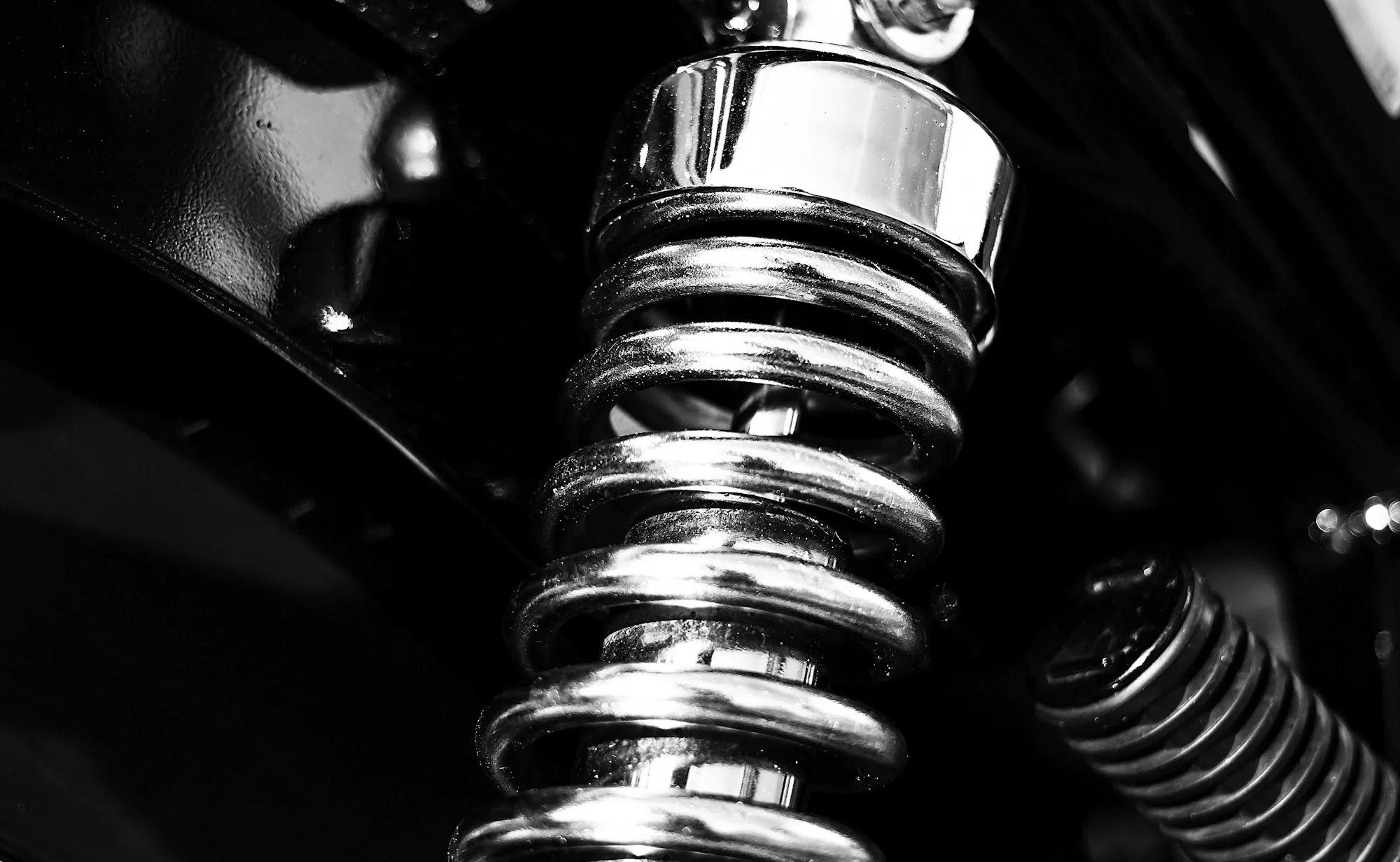 Coil spring and shock absorber assembly close up